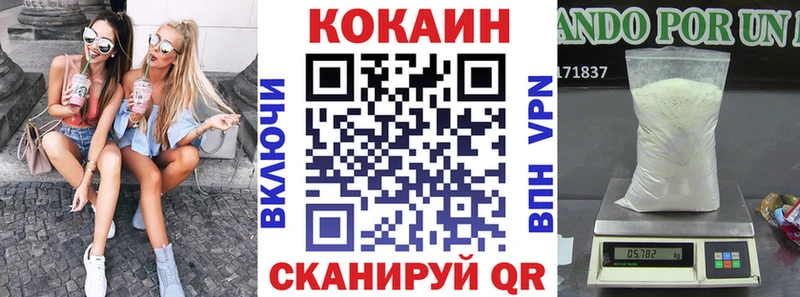 магазин    Зеленоградск  COCAIN Fish Scale 